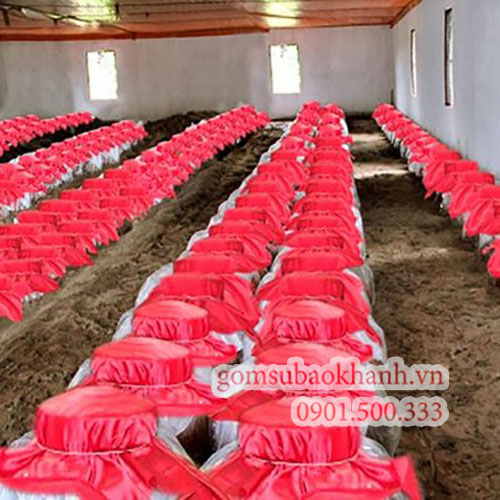 Cách sử dụng rượu ngâm tốt cho sức khỏe