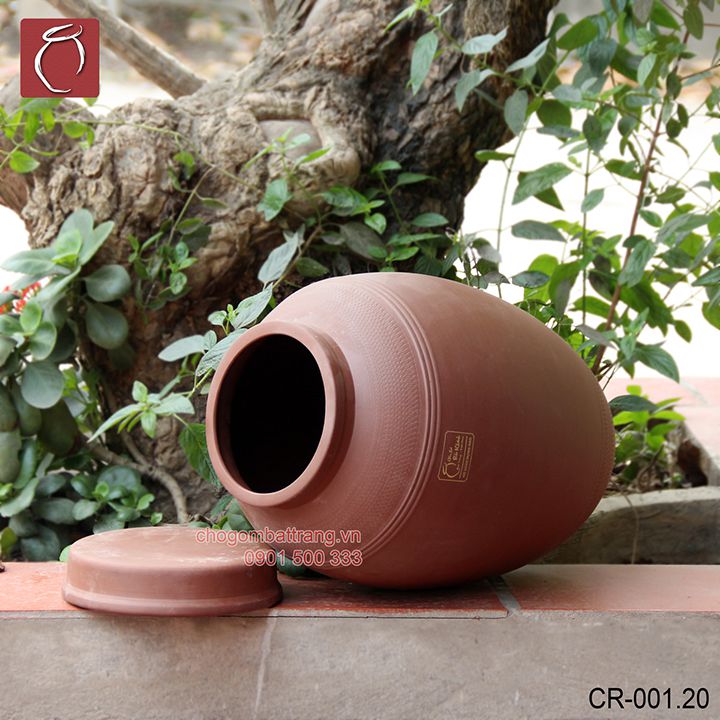 Chọn mua chum ngâm rượu cần lưu ý những gì?