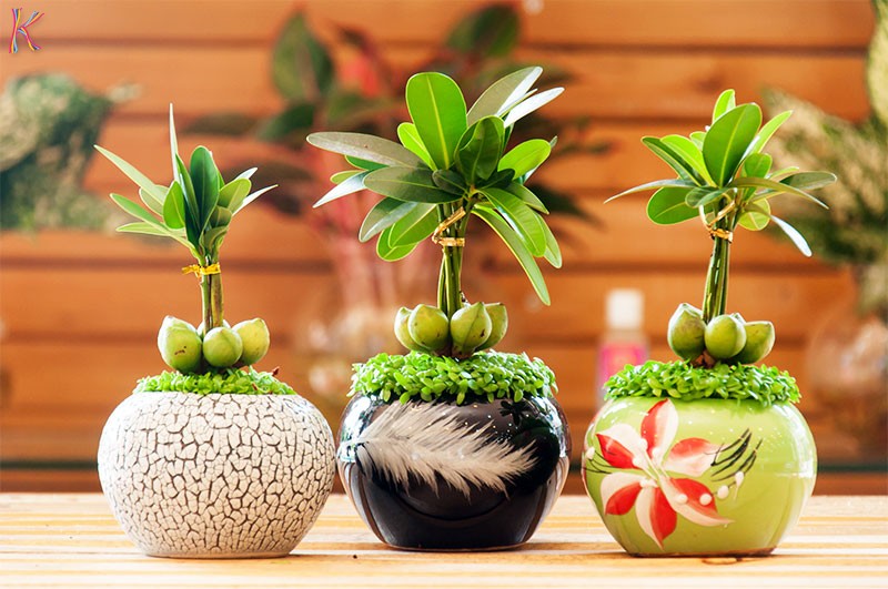 Muốn thăng quan tiến chức thì nên bài trí lại ngay phòng làm việc