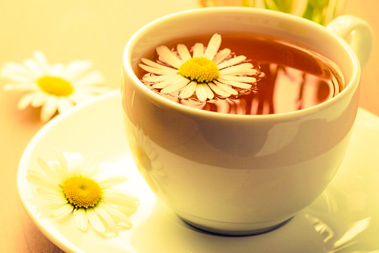 Cách làm trà hoa cúc chuẩn vị thưởng thức mỗi sáng mai