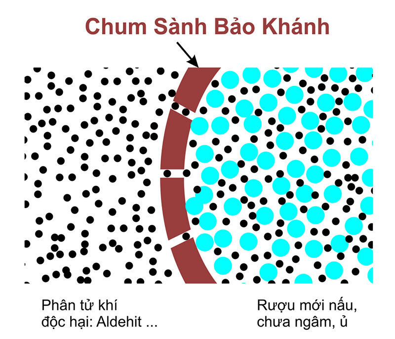 Tính năng ưu Việt của chum sành ngâm rượu không tráng men Bát Tràng?