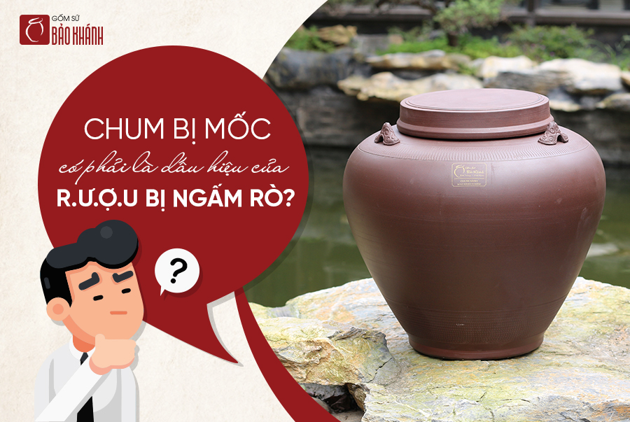 CHUM RƯỢU BỊ MỐC CÓ PHẢI LÀ DẤU HIỆU CHUM BỊ NGẤM RÒ RƯỢU KHÔNG?