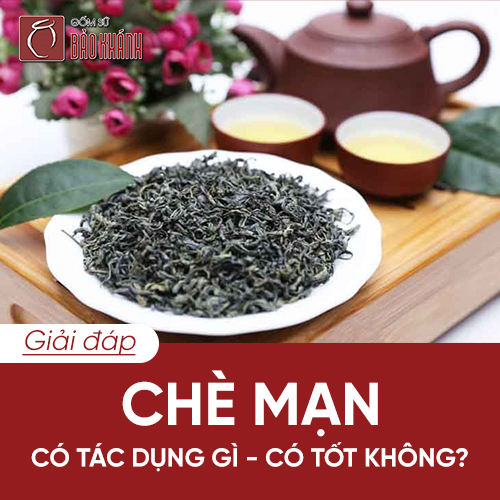 GIẢI ĐÁP: Uống trà mạn có tốt không? Chè mạn có tác dụng gì?